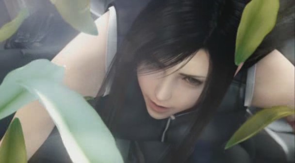 FF7AC-FFFury (171).jpg